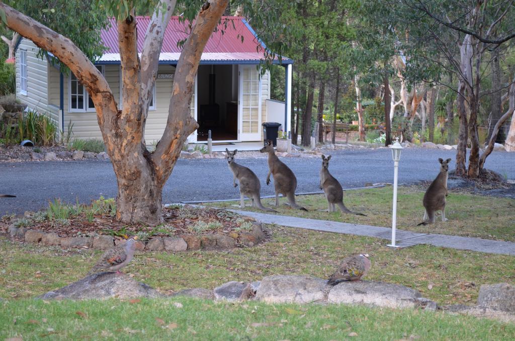 31 The Rocks Bed & Breakfast Stanthorpe Exterior photo